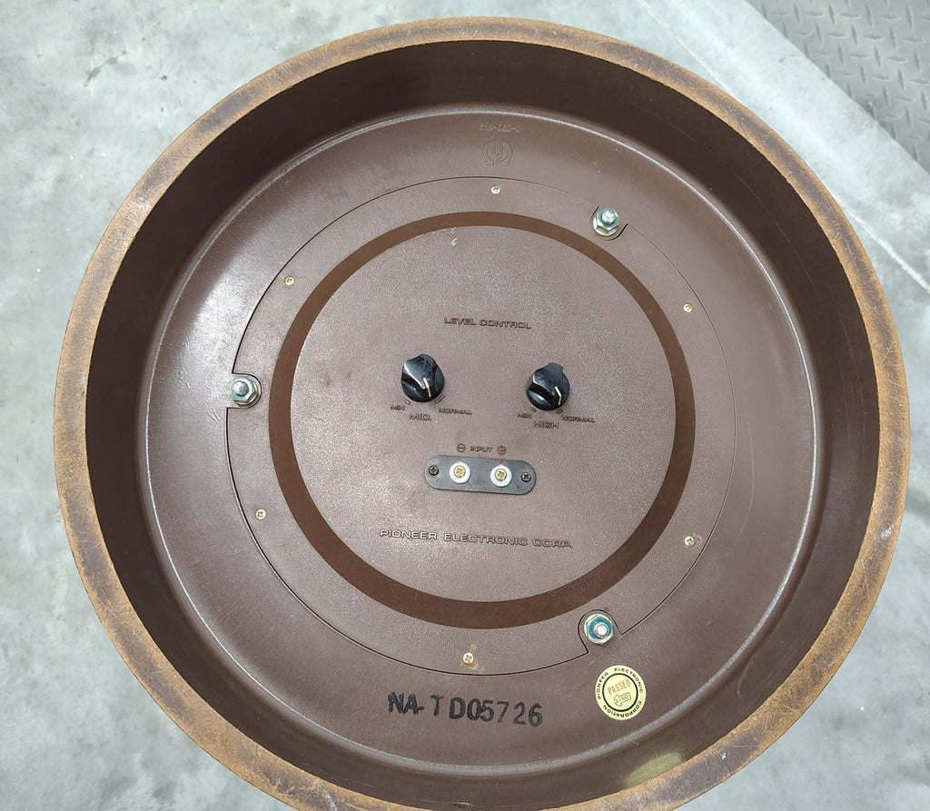 Pioneer CS-06 Speakers