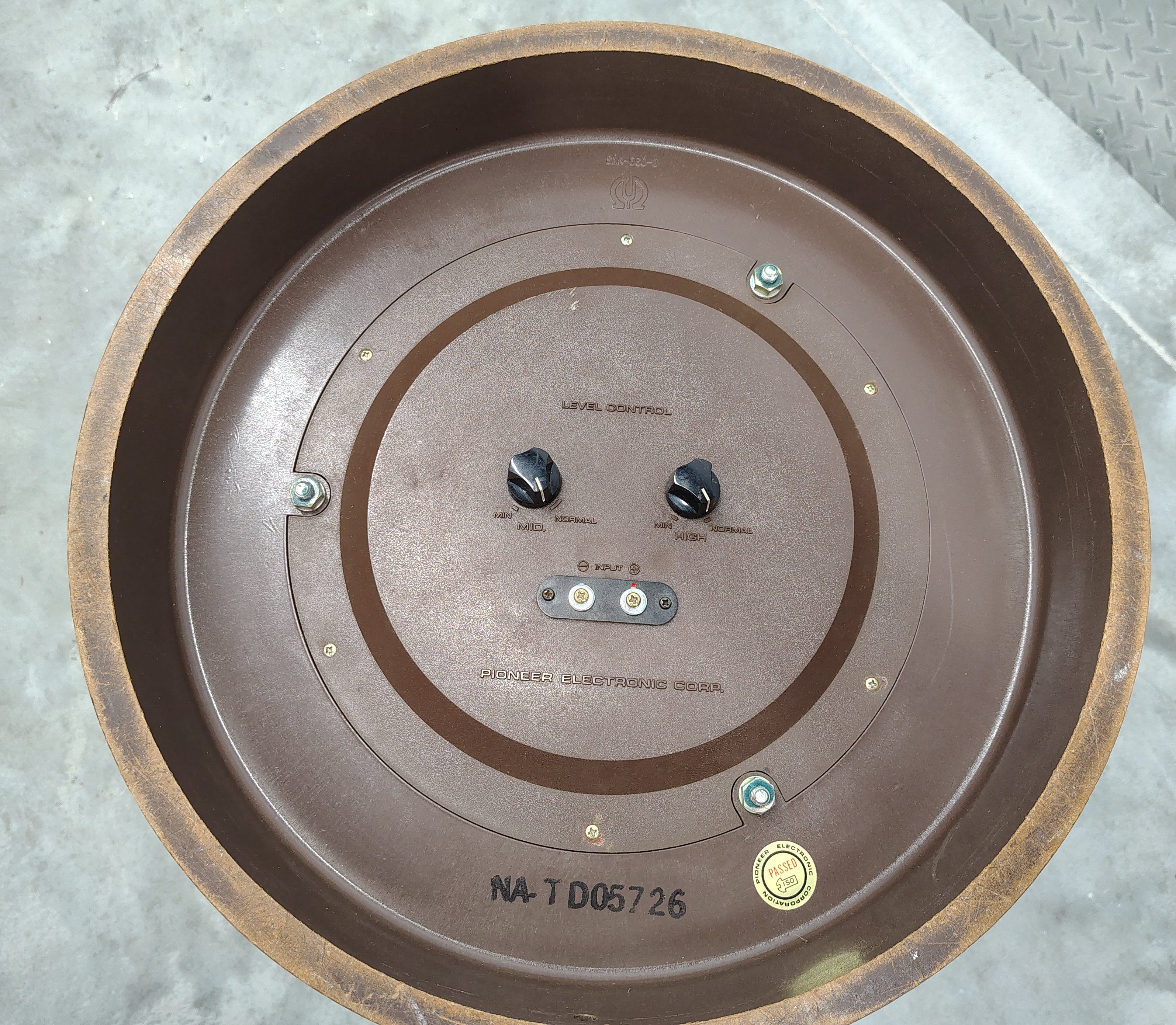 Pioneer CS-06 Speakers